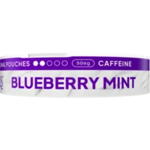 XQS Blueberry Mint Zero