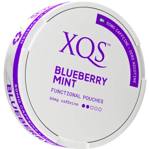 XQS Blueberry Mint Zero